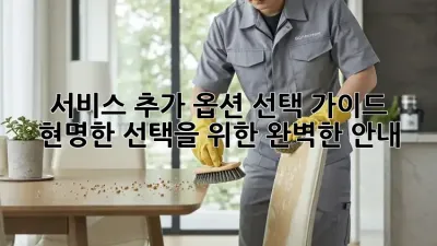 서비스 추가 옵션 선택 가이드: 현명한 선택을 위한 완벽한 안내